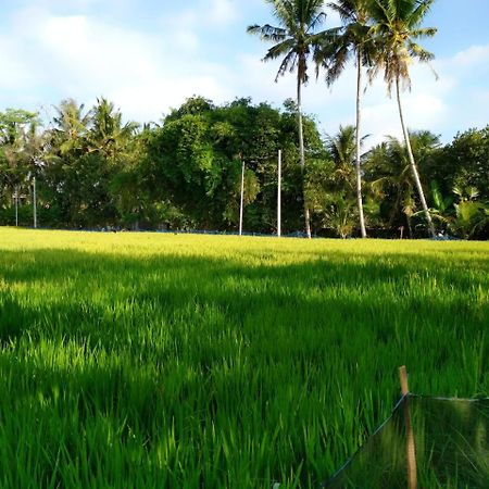 Uma Loka Villa By Shm Ubud Buitenkant foto