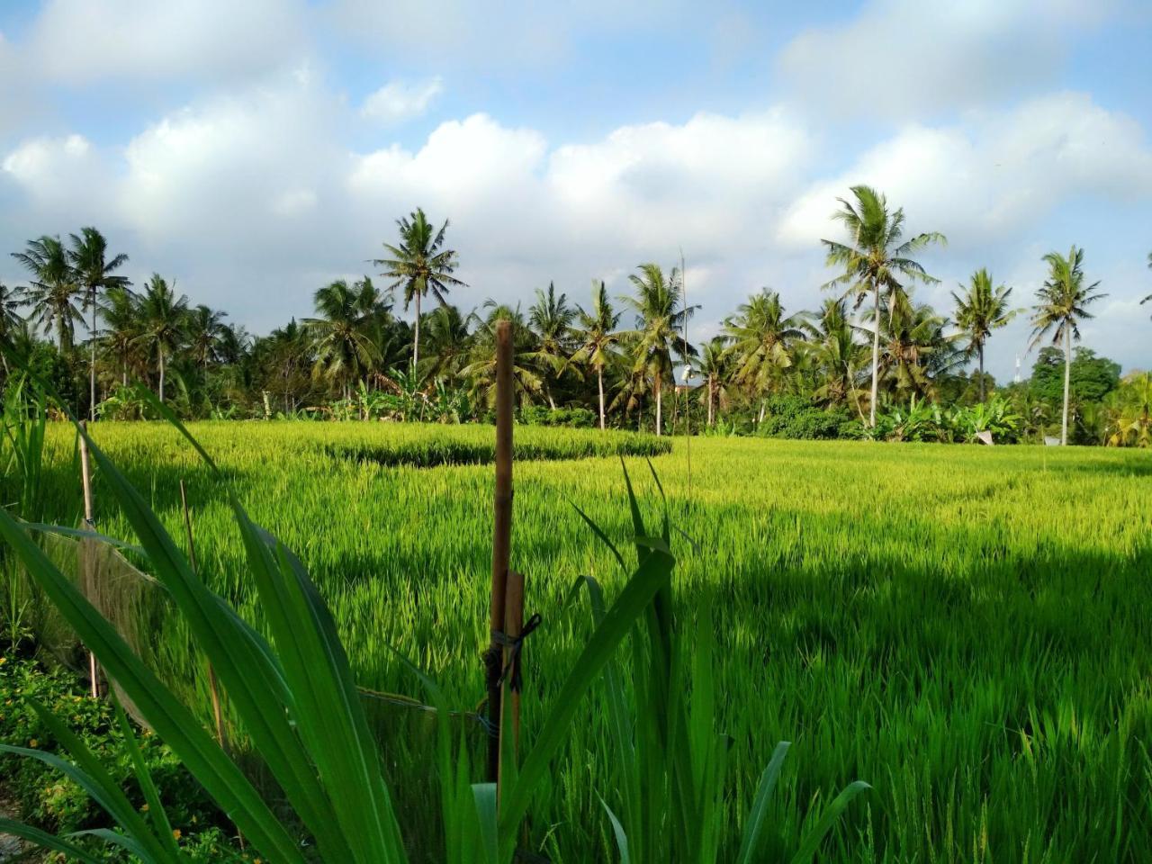 Uma Loka Villa By Shm Ubud Buitenkant foto