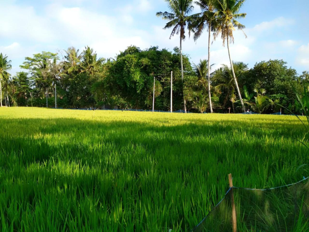 Uma Loka Villa By Shm Ubud Buitenkant foto
